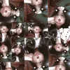 tola_anh2o13