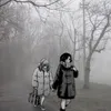tkglvr19._