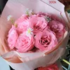 hoatulip2424