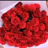 gfggy9162