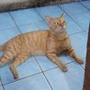 muhamad.hanif65