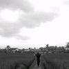 y_lah11