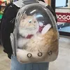 cute_lil_backpack_kitty