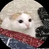 3dmai_6