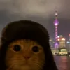 no_one7985