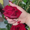 user9533600245388