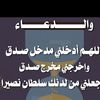 rfxz81