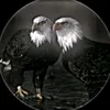 user20466209653705