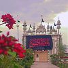 qasimofficial010
