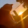 anne.souza547
