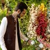 kashmiributt232