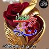 muhammadhashem459