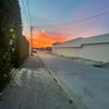 jays_6767