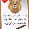 user8703814077881