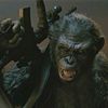 koba7217