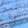 nihad_nnn