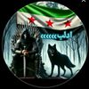 user50882428172885