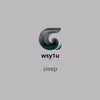 wsy1u_