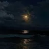 dilarwxxbs9