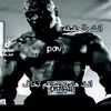 user3815716171382