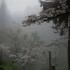 itsdoresa_2