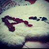 user1816214520181