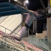liam_diving