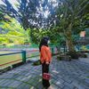tarii_rhirie