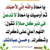 user5199713658663