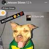 jeissonstiven829