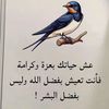 user72751409768655