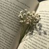 dearbella.wp