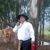 andrefreitas973