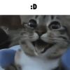 bludodey