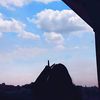 _thzaa1