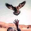 المصمم كحيلان