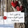 zzz999ll