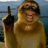 imlang..0