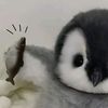 zhel_piwww