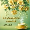 m.maslam71