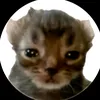 username03957