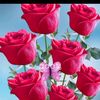 sanwinaung6277