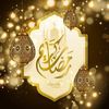 user1128659586272