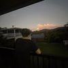 riley_shields15