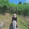 isky.intan
