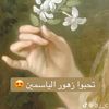user5383154450062