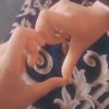 bismashahzad07