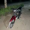 vega_kutulan124