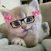 naii_la21