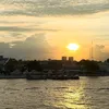 baohan_nii690